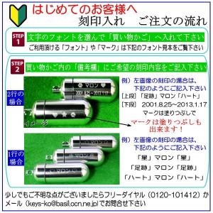 ペット遺骨 キーホルダー 刻印 カプセル 小 ...の詳細画像4