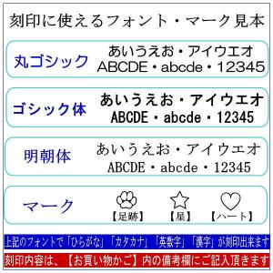 ペット遺骨 キーホルダー 刻印 カプセル 小 ...の詳細画像5