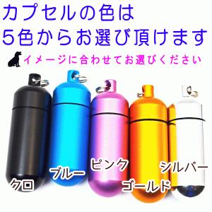 ペット 遺骨 キーホルダー 刻印 名入れ カプ...の詳細画像4