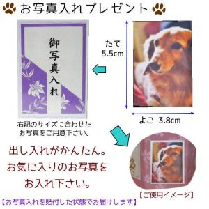 ペット 骨壷セット 骨壷カバー 桜 2寸 骨壷...の詳細画像5