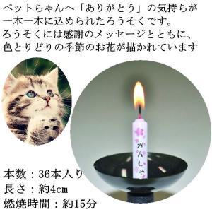 ペット ろうそく 沢山の有りが灯ろうそく 感謝...の詳細画像1