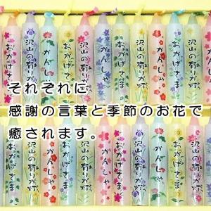 ペット ろうそく 沢山の有りが灯ろうそく 感謝...の詳細画像2