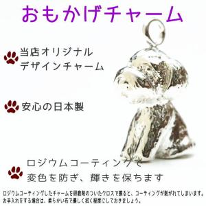 遺骨カプセルキーホルダー トイプードル 刻印 ...の詳細画像2