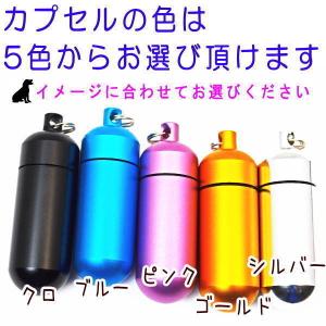 遺骨カプセルキーホルダー トイプードル 刻印 ...の詳細画像4
