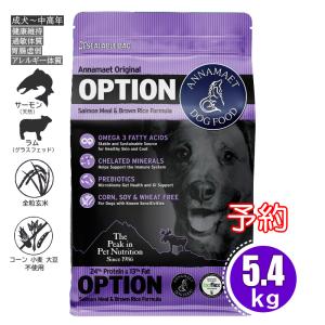 N&A300 地天泰 ニュー ヌクレオエンジェル 300粒 ドクターのり子 犬猫