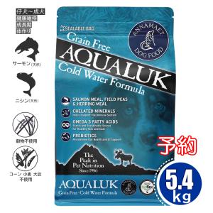 ペット用サプリ　ニューヌクレオエンジェル 300粒 ニューヌクレオエンジェル 300粒×2本 ドクターのり子 犬猫用核酸