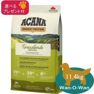 ACANA（アカナ） ヨークシャポーク ドッグフード 6kg(選べるプレゼント