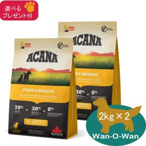 ELMO エルモ プロフェッショナーレ ドッグフード ダック＆ポテト