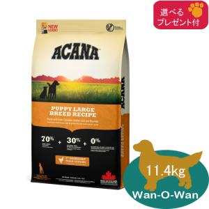 ACANA（アカナ） スポーツ＆アジリティ レシピ 11.4kg「正規品