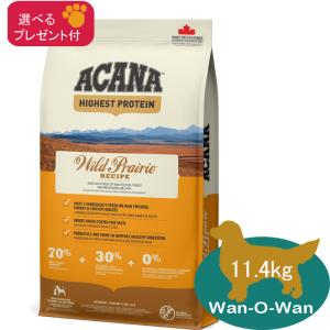 ACANA アカナ ドッグフード ヨークシャーポーク 国内正規品 6kg ACANA（アカナ） ヨークシャポーク ドッグフード 6kg(選べるプレゼント