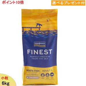 フィッシュ4 (サンプルフードは合計7個まで) ドッグ (ファイネスト