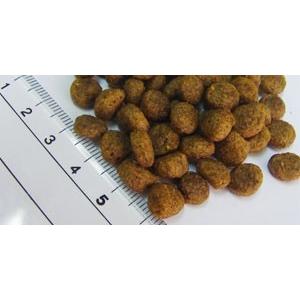 (サンプルフードは合計7個まで) フィッシュ4...の詳細画像1