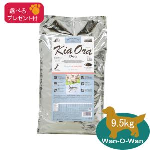 森乳サンワールド 【限定クーポン】 スーパーゴールド おなかラボ 成犬