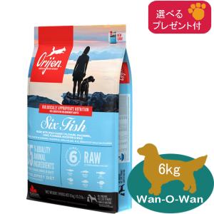 ORIJEN（オリジン） ドッグフード 6フィッシュ 6kg(選べるプレゼント付
