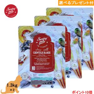 ブリスミックス　PHコントロール　2kg×2袋、試供品50g×5袋 ブリスミックス 猫 PHコントロール 2kg×2袋、試供品50g×5袋 ブリス