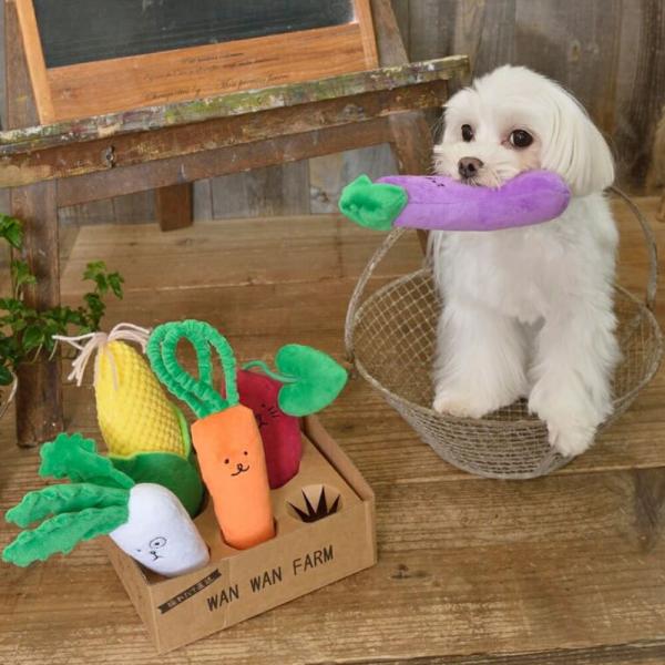 ハッピーお野菜フレンズ Solgra TOY -ソルグラ トイ- 犬用おもちゃ ドッグトイ ノーズワ...
