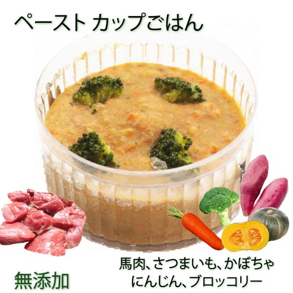 ドッグフード 犬用の離乳食/介護食/療養食 /ダイエット食 低カロリー 手作りごはん ごちそう ペー...