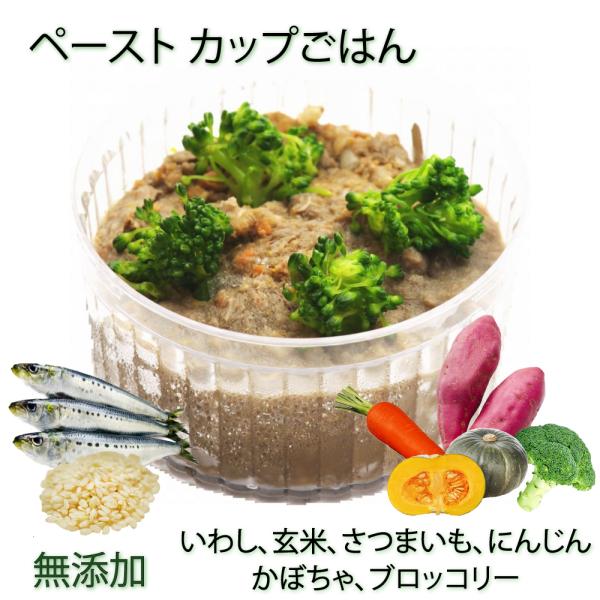 手作りごはん ドッグフード 犬用の離乳食 介護食 療養食 ダイエット食 低カロリー お惣菜 ごちそう...
