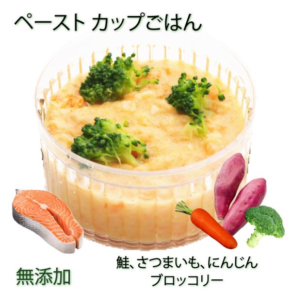 ドッグフード 犬用の離乳食 介護食 ペースト状 フィッシュ鮭＆ベジタブル トッピング 手作りごはん ...