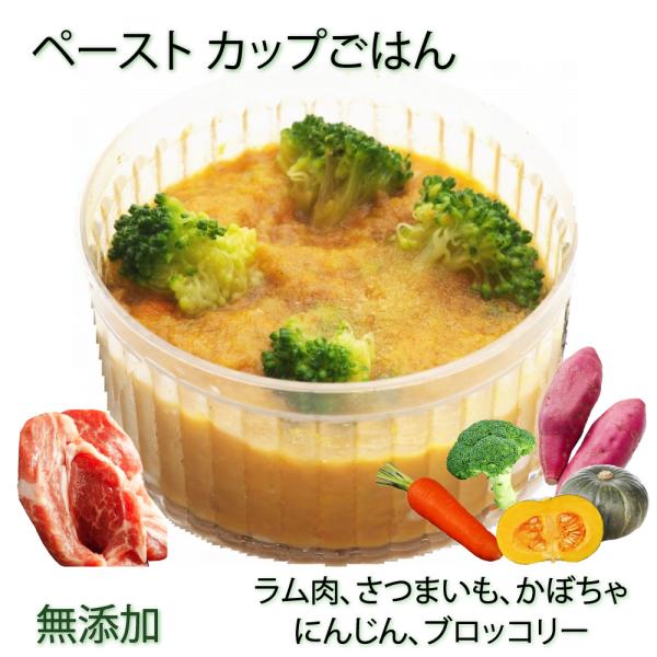 手作りごはん ドッグフード 犬用の離乳食 介護食 療養食 ダイエット食 低カロリー お惣菜 ごちそう...