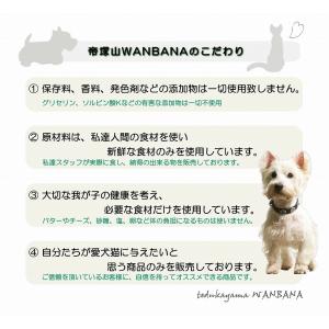 犬用のお誕生日や記念日にプチカップケーキ3個セ...の詳細画像2