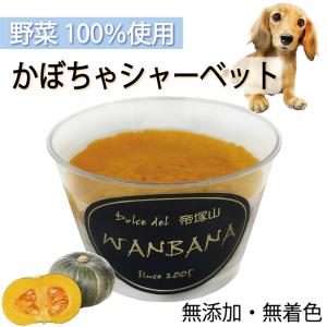 犬用の おやつ かぼちゃ シャーベット 馬肉入り 野菜 人気 スイーツ 夏 熱中症 夏バテ 対策 ギフト 6480円 以上 送料 無添加のペット用品で健康な食事を｜wanbana