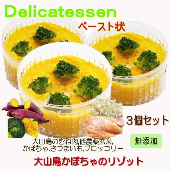 犬用のごはん ドッグフード 離乳食 介護食 療養食 ダイエット食 ペースト状 大山鶏かぼちゃ玄米リゾ...