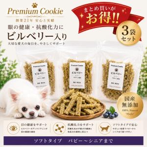 INABA ちゅ〜る 犬用おやつ ちゅーる チュール 犬いなば ワンちゅ〜る
