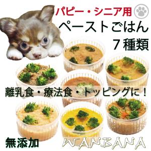 手作りごはん ドッグフード 犬用の離乳食 介護食 ペースト状デリカテッセン７種類セット 手作り 療養食 柔らかい シニア パピー 無添加の健康な食事を｜wanbana