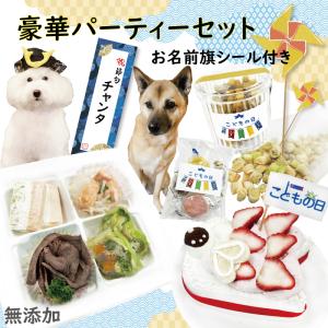 犬用のこどもの日 豪華パーティーセット名前旗シール付き こいのぼりケーキ・アラカルト・あられ・マカロントリュフセット 無添加おやつ ワンバナ｜wanbana