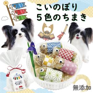 まだ間に合う！犬用のこどもの日 端午の節句 こいのぼり5色のちまき 名前旗シール付 可愛いひとくちサイズ 猪肉で滋養強壮 食いつき抜群  無添加おやつ ワンバナ｜wanbana