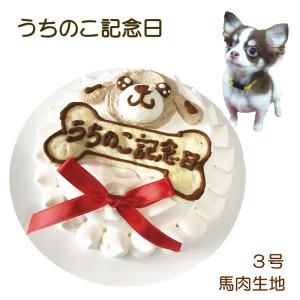 犬用のうちの子記念日ケーキ馬肉生地3号10cmサイズ