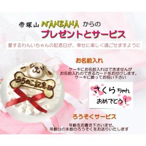 犬用のうちの子記念日ケーキ馬肉生地3号10cm...の詳細画像1