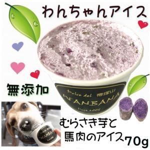 犬用のむらさき芋アイスクリーム〜馬肉チップ入り 人気