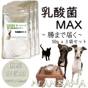 ケンドッグ 1箱 (10本入り) ペット用 シアルマリン 糖鎖栄養素