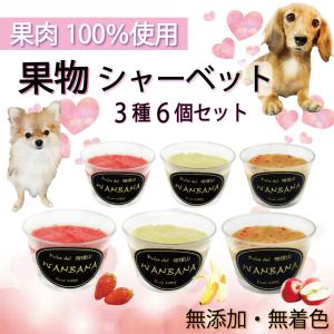 犬用の おやつ イチゴ・バナナ・リンゴ シャーベット 3種類 6個 セット 人気 ギフト 夏 暑中見舞い 無添加のペット用品で健康な食事を