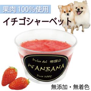 犬用の おやつ イチゴ・バナナ・リンゴ シャー...の詳細画像2