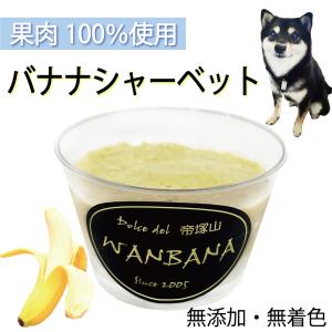 犬用の おやつ イチゴ・バナナ・リンゴ シャー...の詳細画像3