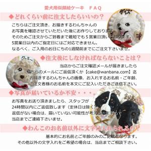 犬用 似顔絵 ケーキ 立体に 1頭描きで野菜と...の詳細画像3