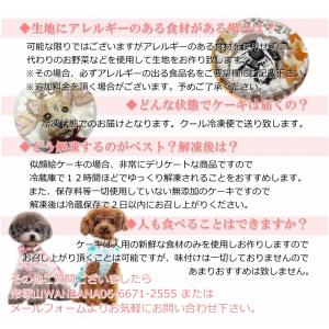 犬用 似顔絵 ケーキ 立体に 1頭描きで野菜と...の詳細画像4