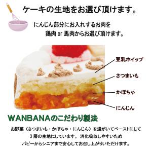犬用 似顔絵 ケーキ 立体に 1頭描きで野菜と...の詳細画像5
