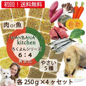 犬用厳選！包丁いらず野菜と馬肉・鹿肉・いわし・サメのお試しセット各250g 黄金比率ろくよん 健康に長生き 毎日続けれる価格設定 手作り食 レンチンOK ワンバナ｜wanbana