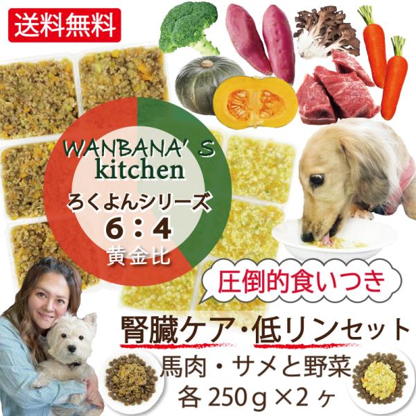 お試し価格/あすつく犬猫用手作りごはん/馬肉とサメ6野菜4の割合250g2種/低リンで腎臓ケア食欲不...