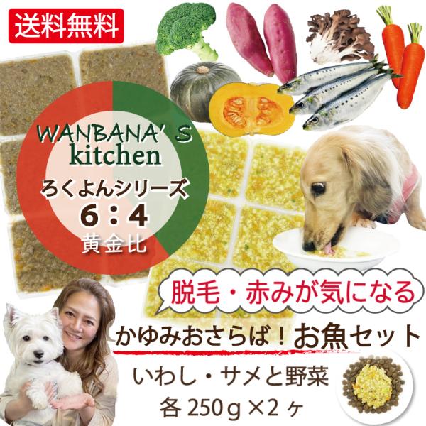 犬用厳選！包丁いらず野菜といわし・サメのお試しセット各250g 黄金比率ろくよん アレルギーや痒み ...