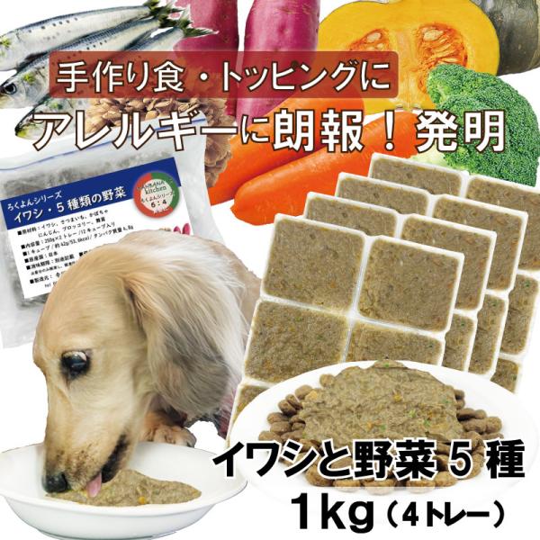 犬用厳選！包丁いらず 簡単レンチンok ろくよんイワシ6:野菜5種4の黄金比1kg(42g×24個)...