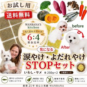 お試し価格送料無料!あすつく犬猫用手作りごはん/...の商品画像