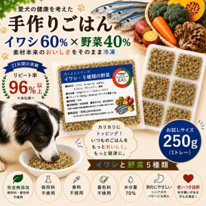 お試し価格送料無料!あすつく犬猫用手作りごはん...の詳細画像2