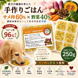 お試し価格送料無料!あすつく犬猫用手作りごはん...の詳細画像1