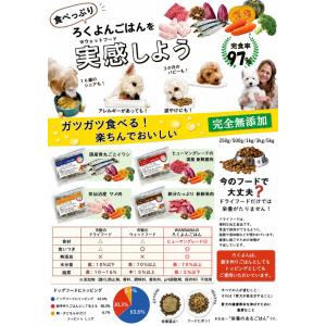 お試し価格送料無料!あすつく犬猫用手作りごはん...の詳細画像3