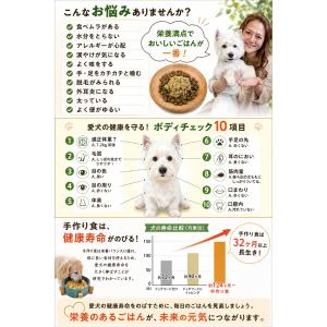 お試し価格送料無料!あすつく犬猫用手作りごはん...の詳細画像4